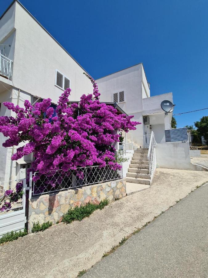 Maslenica-Bougainvillea 외부 사진